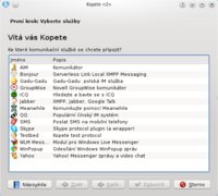 kubuntu 10.04 desktop 48 kopete