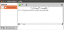 Skype 4.1
