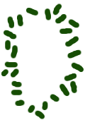 GIMP 18 Semínka
přebarvená na zeleno