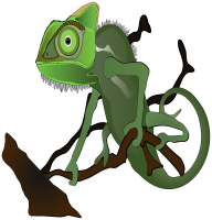 Zelený chameleon