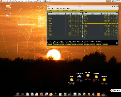 Ubuntu 9.04 i386 EN
