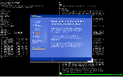 NetBSD/Xen - scrotwm, tmux a Windows