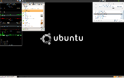Ubuntu 9.10, Compiz + Emerald