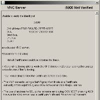 Zabezpečené VNC spojení se SSVNC, obrázek 2