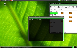 Green Ubuntu + Gnome