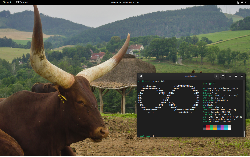 openSUSE Tumbleweed + GNOME 40.x