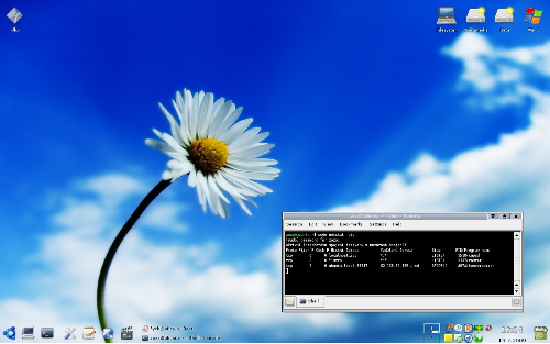 KDE 3.5 Biely kvet 