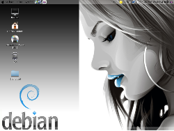 Debian PPC na iBOOK G3