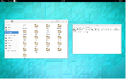 FreeBSD 10.1 + Gnome-shell