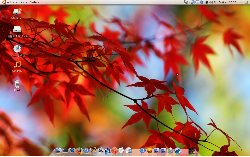 Ubuntu 8.10 (a little like OS X:)