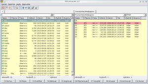 filemanager bsc1