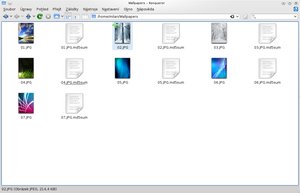 filemanager konqueror1