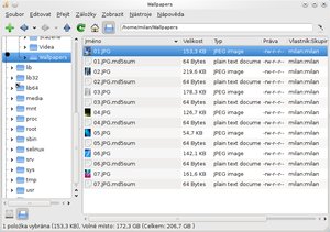 filemanager pcman2