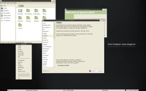 linuxmint