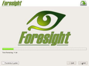 foresight