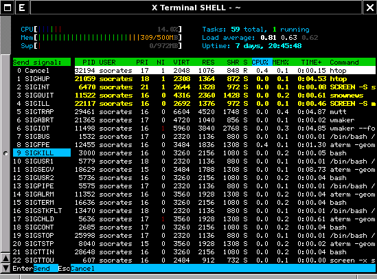 /images/clanky/fialka/htop-multi-kill