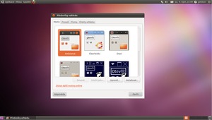 Ubuntu 10.10