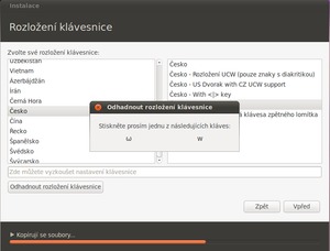 Ubuntu 10.10