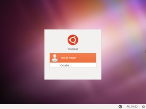 Ubuntu 10.10