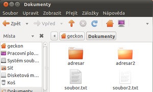Ubuntu 10.10