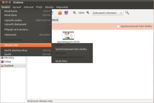 Ubuntu 10.10