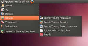 Ubuntu 10.10