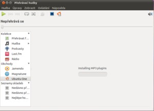Ubuntu 10.10