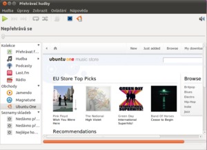 Ubuntu 10.10