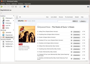 Ubuntu 10.10