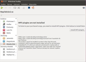 Ubuntu 10.10