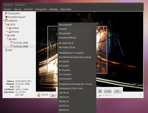 Ubuntu 10.10