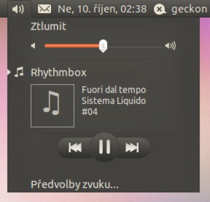 Ubuntu 10.10