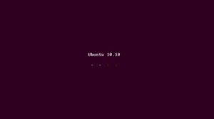Ubuntu 10.10