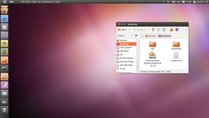 Ubuntu 10.10