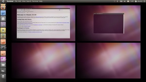 Ubuntu 10.10
