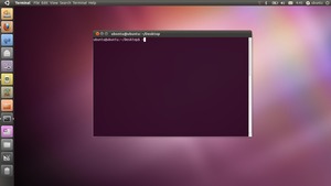 Ubuntu 10.10