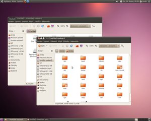 ubuntu 10.04 lucid lynx gnome