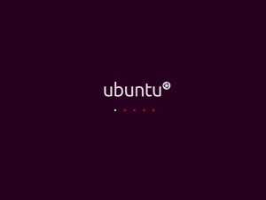ubuntu 10.04 lucid lynx splash