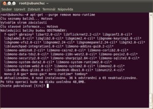 ubuntu 10.04 lucid lynx terminal