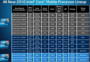 2010 01 intel 02