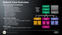 amd bobcat 13