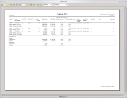 Tiskový náhled podkladů pro DPH