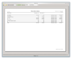 Náhled výkazu daňové evidence