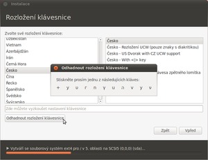 ubuntu 10.10