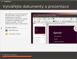 ubuntu 10.10