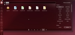 Ubuntu 14.04