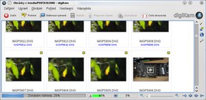 opensuse 11.2 09 digikam 02