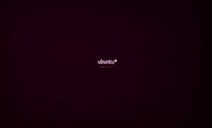 ubuntu 10.04 lucid lynx screenshot 000 boot