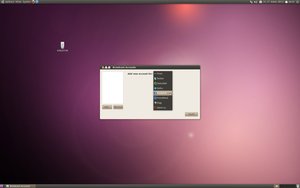 ubuntu 10.04 lucid lynx screenshot broadcast accounts0