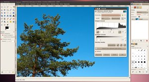 ubuntu 10.04 lucid lynx screenshot gimp